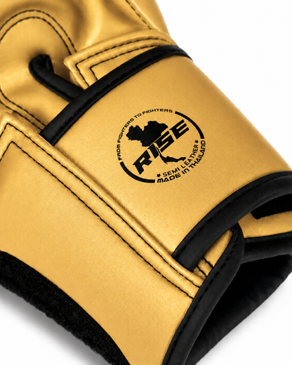 RISE BOXING GLOVES (GOLD)