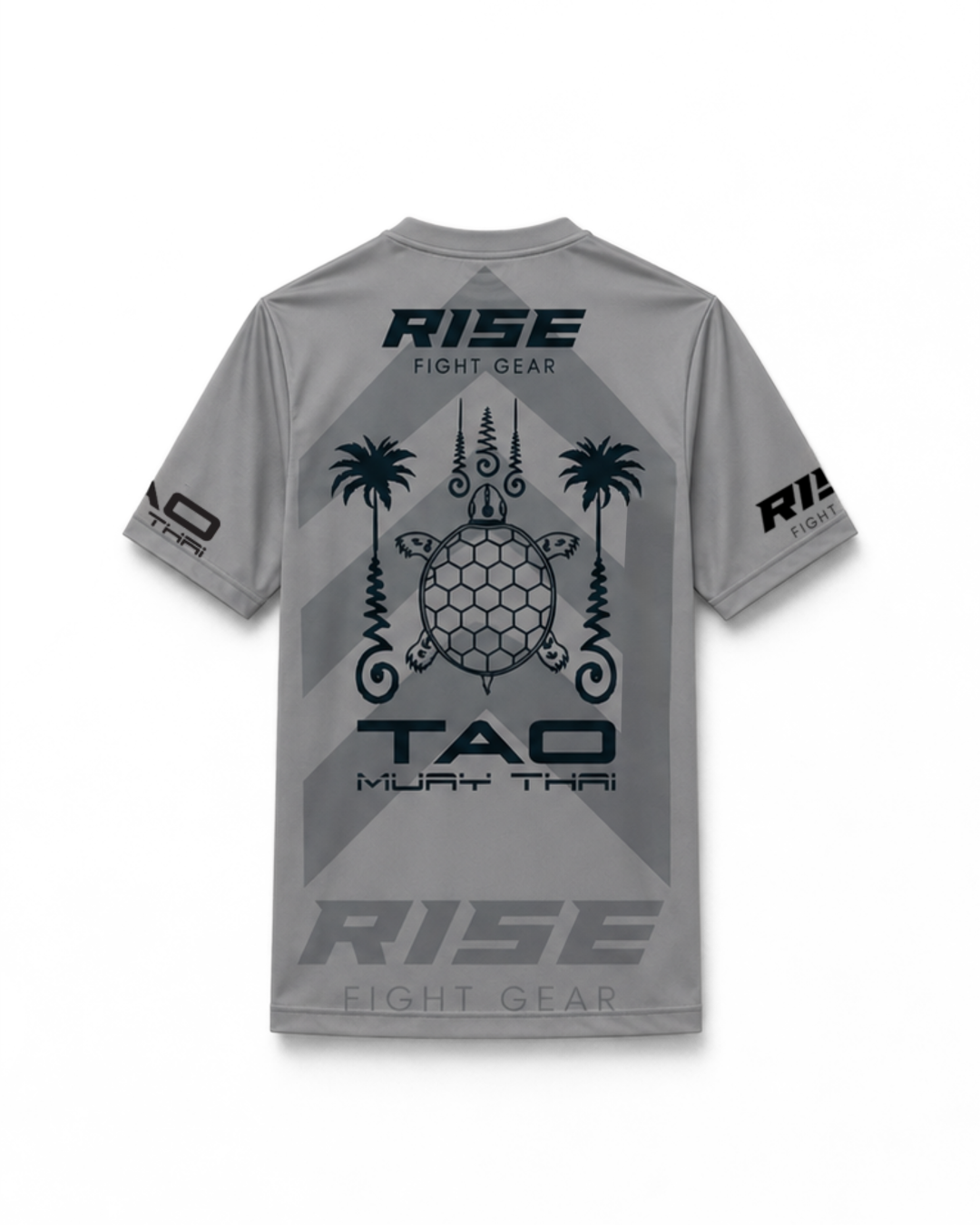 RISE X TAO T-SHIRT (GREY)