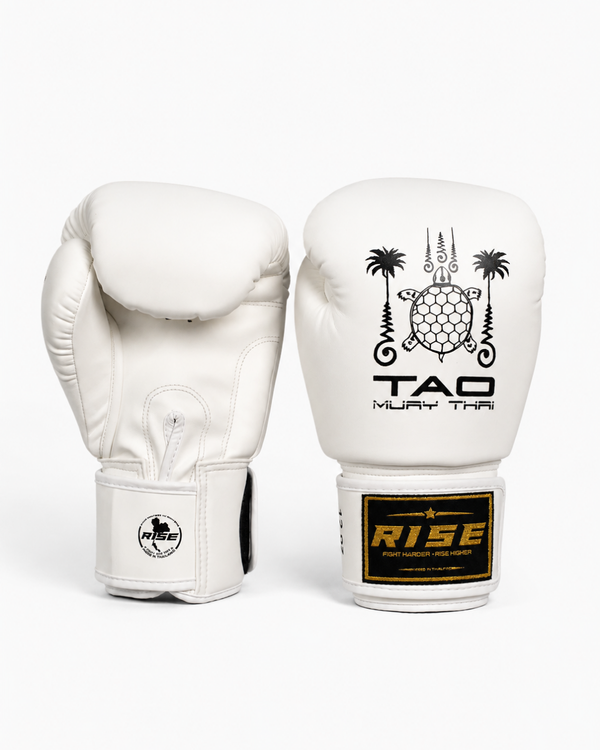 RISE X TAO BOXING GLOVES (WHITE)
