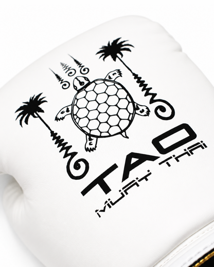 RISE X TAO BOXING GLOVES (WHITE)