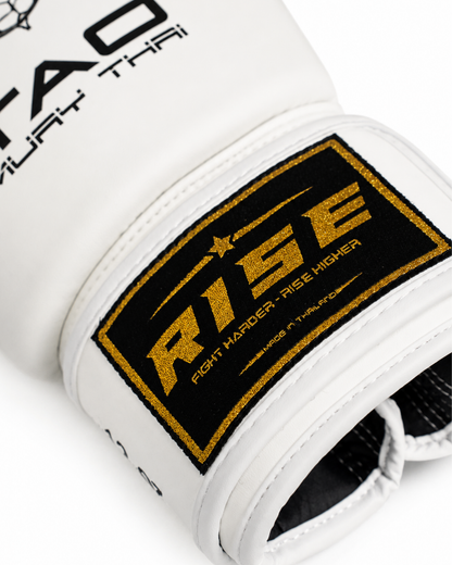 RISE X TAO BOXING GLOVES (WHITE)