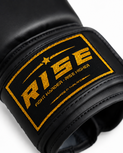 RISE X TAO BOXING GLOVES (BLACK)