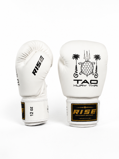 RISE X TAO BOXING GLOVES (WHITE)