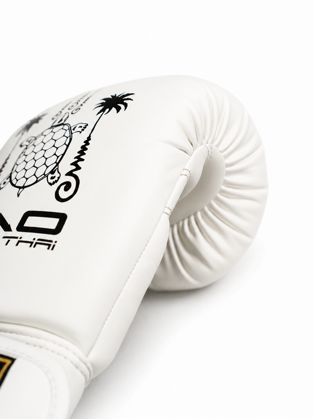 RISE X TAO BOXING GLOVES (WHITE)