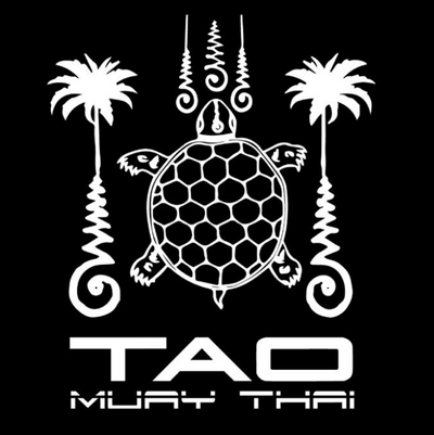 Black t-shirt with 'RISE Fight Gear' and 'Tao Muay Thai' design on a black background
